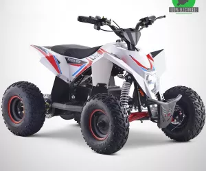 Circuit quads électriques - Dynamic Land