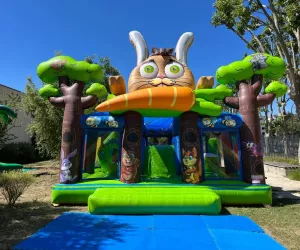 Rabbit Party - Dynamic Land