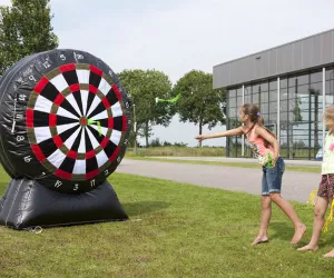 Cible fléchettes - Dynamic Land