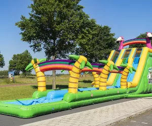 Flamingo double slide aquatique - Dynamic Land