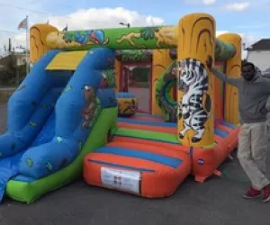 Le Jungle - Dynamic Land