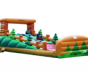 Piste de luge double - Dynamic Land