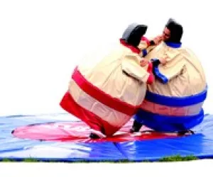 Sumos - Dynamic Land