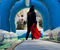 Piste de Luge - Dynamic Land