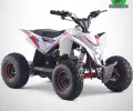 Circuit huit avec 4 quads - Dynamic Land